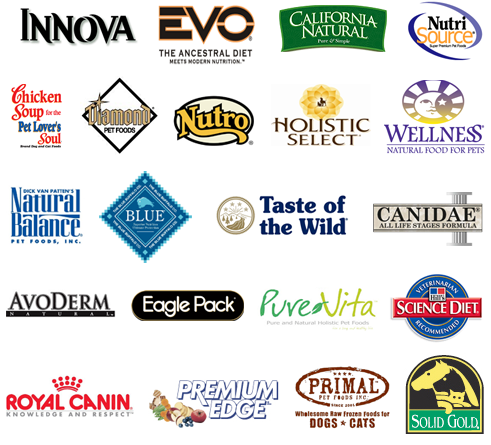 Holistic dog hot sale food brands