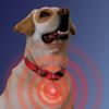SpotLit LED Carabiner Light
