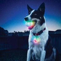 GlowStreak LED Ball