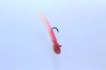 PINKBERRY CALIJERKTUBES ( TUBE JIG BAIT )