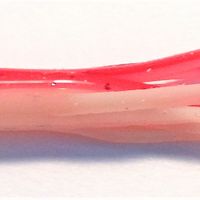 RED SHERBET MINIJIG TUBE BAIT