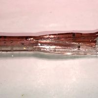 MRS OC TROUTSLAYER MINIJG TUBE BAIT 