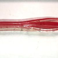 RED SIERRA CANDIES MINIJIG TUBE BAIT