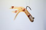 OG BLACK TIP KILLER MEALIE MINIJG TUBE BAIT