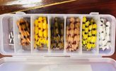 30 PIECE MEALIE BOX WITH 6 JIG HEADS