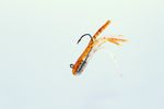 BROOK TROUT CUSTOM MINIJIG TUBE BAIT