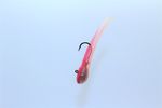 PINKBERRY CALIJERKTUBES ( TUBE JIG BAIT )