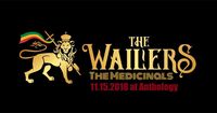 The Medicinals support the Wailers