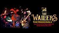 The Medicinals support the Wailers - The Haunt - Ithaca, NY