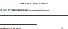 Copyright Assignment 