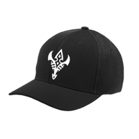 Flexfit hat w/ logo