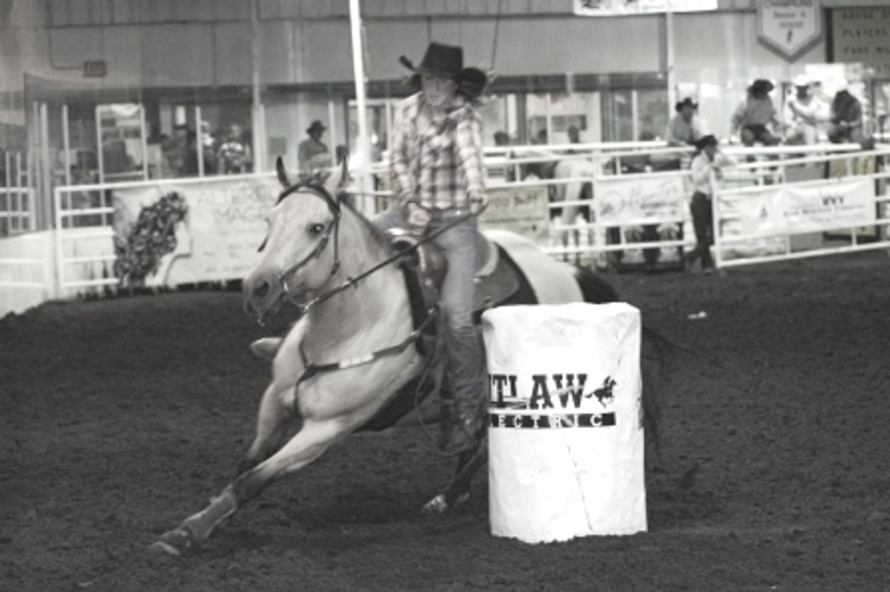 Big Time Performance Horses - Capital Flight