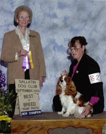 Our First Homebred Champion Best of Breed NEW CHAMPION Sep 2002 Helena Montana Apache was 18 mos old when he earned his AKC Champion title from the Bred By Exhibitor Class.
