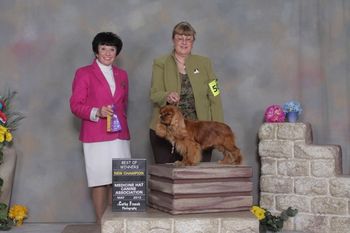 Medicine Hat Canine Association, Medicine Hat Alberta, Canada May 11-13, 2012 Selected as Winner's Dog and Best of Winners all three days, giving him the final points he needed to become Canadian Champion under Judge Barbara Dempsey Alderman.
