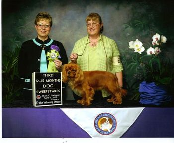 American Cavalier King Charles Spaniel Club National Specialty - Orlando Florida, April 6th - 9th, 2010 Special thanks for Breeder Judge Charlene Yoder from Wolftam Cavaliers for 3rd place, Sweepstakes (Puppy 12-15) Dogs. It was a real thrill to be awarded a placement at the National.

