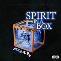 SPIRIT IN A BOX by P.R.E.A.C.H.