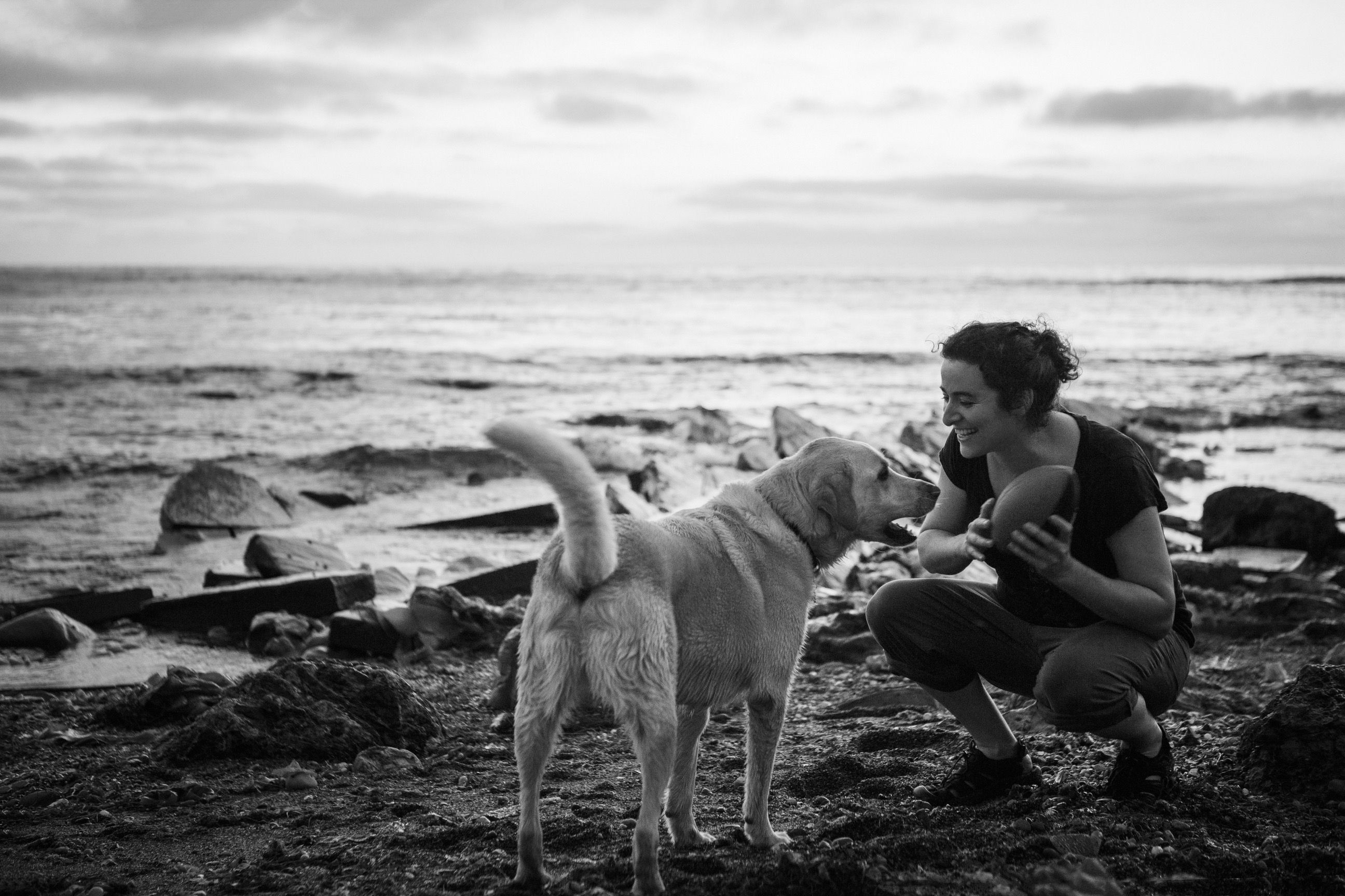 What Kind of Music do Dogs Like?