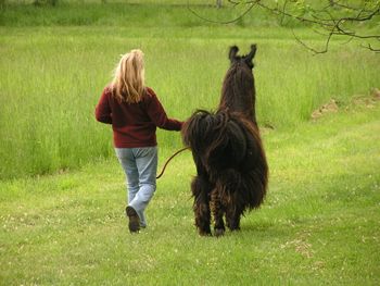 Walk a llama
