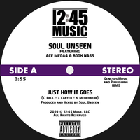 JUST HOW IT GOES  by SOUL UNSEEN feat. ACE MEDA 4 & ROOK NASS