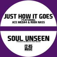 JUST HOW IT GOES by SOUL UNSEEN feat. ACE MEDA4 & ROOK NASS