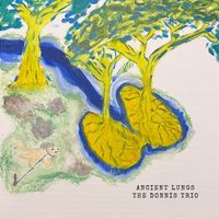 Ancient Lungs by The Donnis Trio