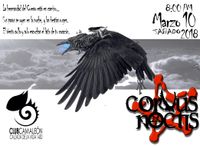 Corvus Noctis