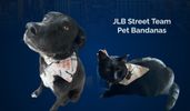 NEW!  Pet Bandana - JLB Street Team