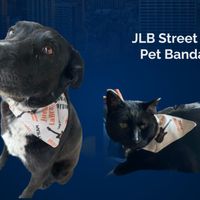 NEW!  Pet Bandana - JLB Street Team