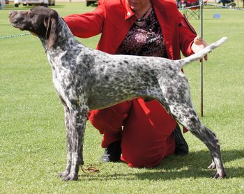 Australian Champion Canawindra Fire Dup
