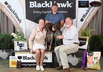 Canberra Royal 2020 - Best of Breed & Runner Up Best of Breed
