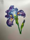 Watercolor Irises