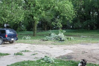 Tree limbs in the front side yard
