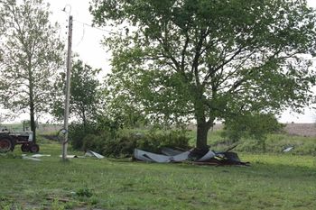 Another view of the Hackberry tree. You can see the wire rolled up on the utility pole. It was attached to the garage before the storm.
