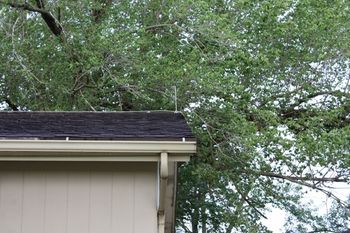 ruffled shingles on the right edge (North) side of the front roof.
