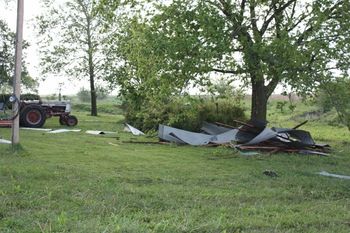 Hackberry tree. This is where most of the barn roof ended up. Back yard on the south side. You can't see the tin that is up in the tree.
