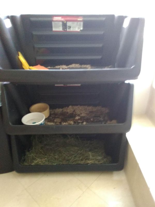 Happy Tails Flemish Giants - Indoor Set-Up