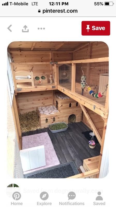 Flemish 2025 rabbit hutch