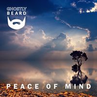 Peace of Mind by Ghostly Beard