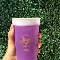 SFCF Official Logo Color Changing Cup