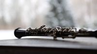 4 Oboe Lessons: 60-minutes