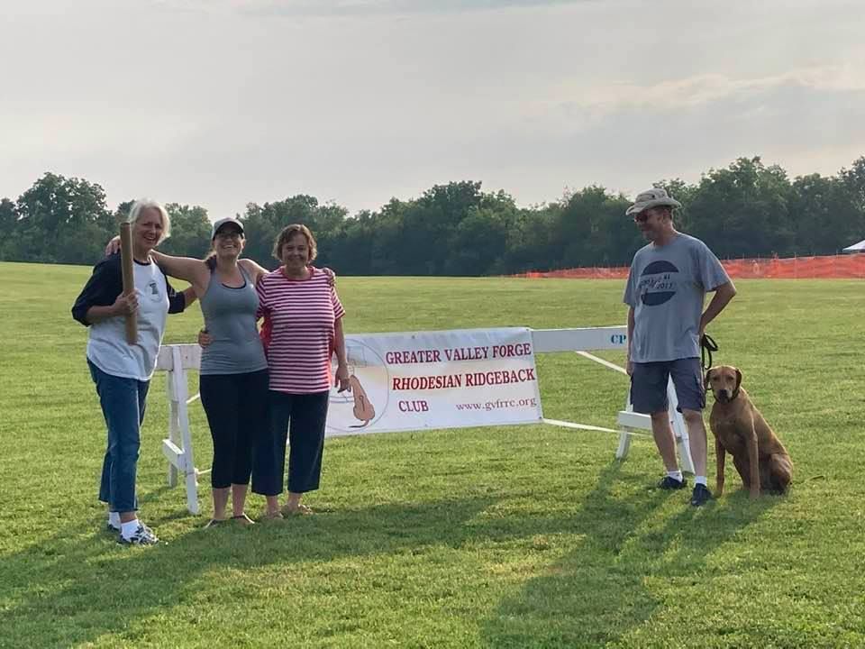 Greater valley forge rhodesian ridgeback sale club