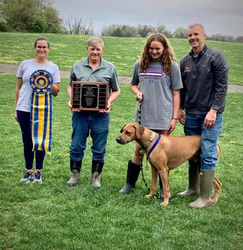 Our Saturday , 4/15/2023 Rhodesian Ridgeback BEST OF BREED Winner, and Winner of this year's Mystic Isle Trophy: Nitro - CH Walker & Ivyleague’s V-Power Nitro
