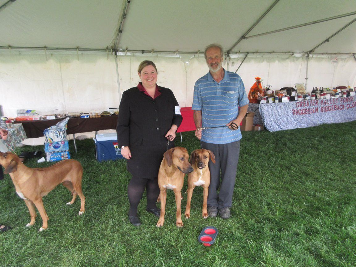 Greater valley forge store rhodesian ridgeback club