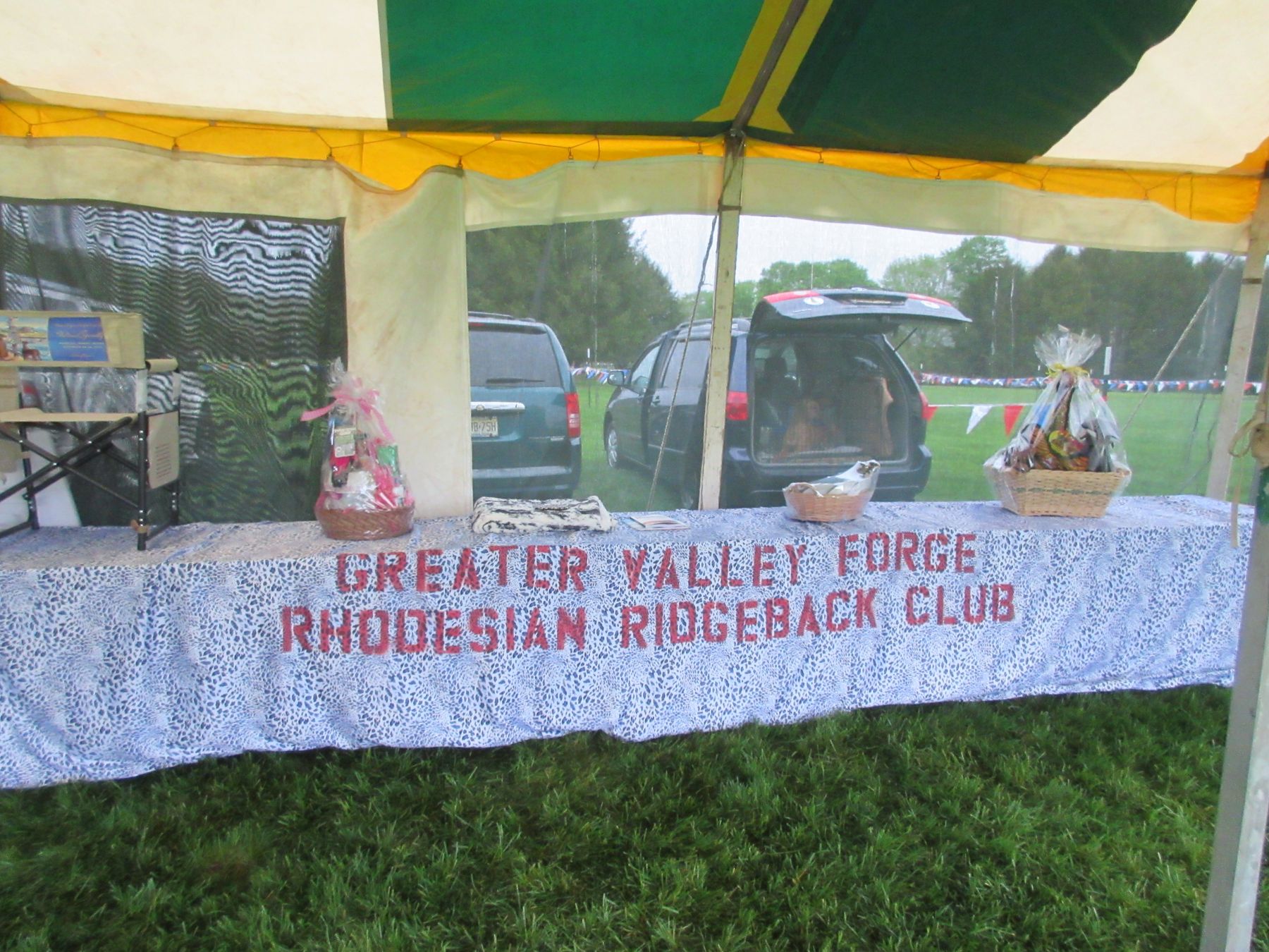 Greater valley forge store rhodesian ridgeback club