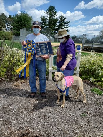 Our 2021 Mystic Isle Trophy Winner is: Rhodesian Ridgeback, Emmaretta - Kushinda's Emmaretta, Raise The Jolly Roger Ctf Gh SC, Owned by Dr. Kammi Kai-Hefner
