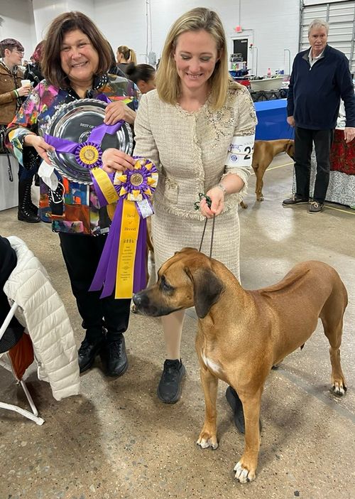 Greater valley forge rhodesian ridgeback sale club