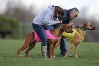 Nuke and Mason - at the line for Sunday Best Of Breed run - they were also in the running for the Mystic Isle Trophy!  Photo credit to Steve Surfman.