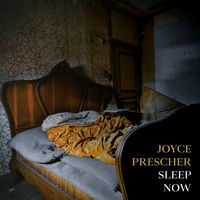 Sleep Now by Joyce Prescher
