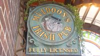 Muldoon's Irish Pub - Courtyard Show