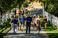 Flight of Voices Hike and Acoustic Concert @ Malibu Wines 